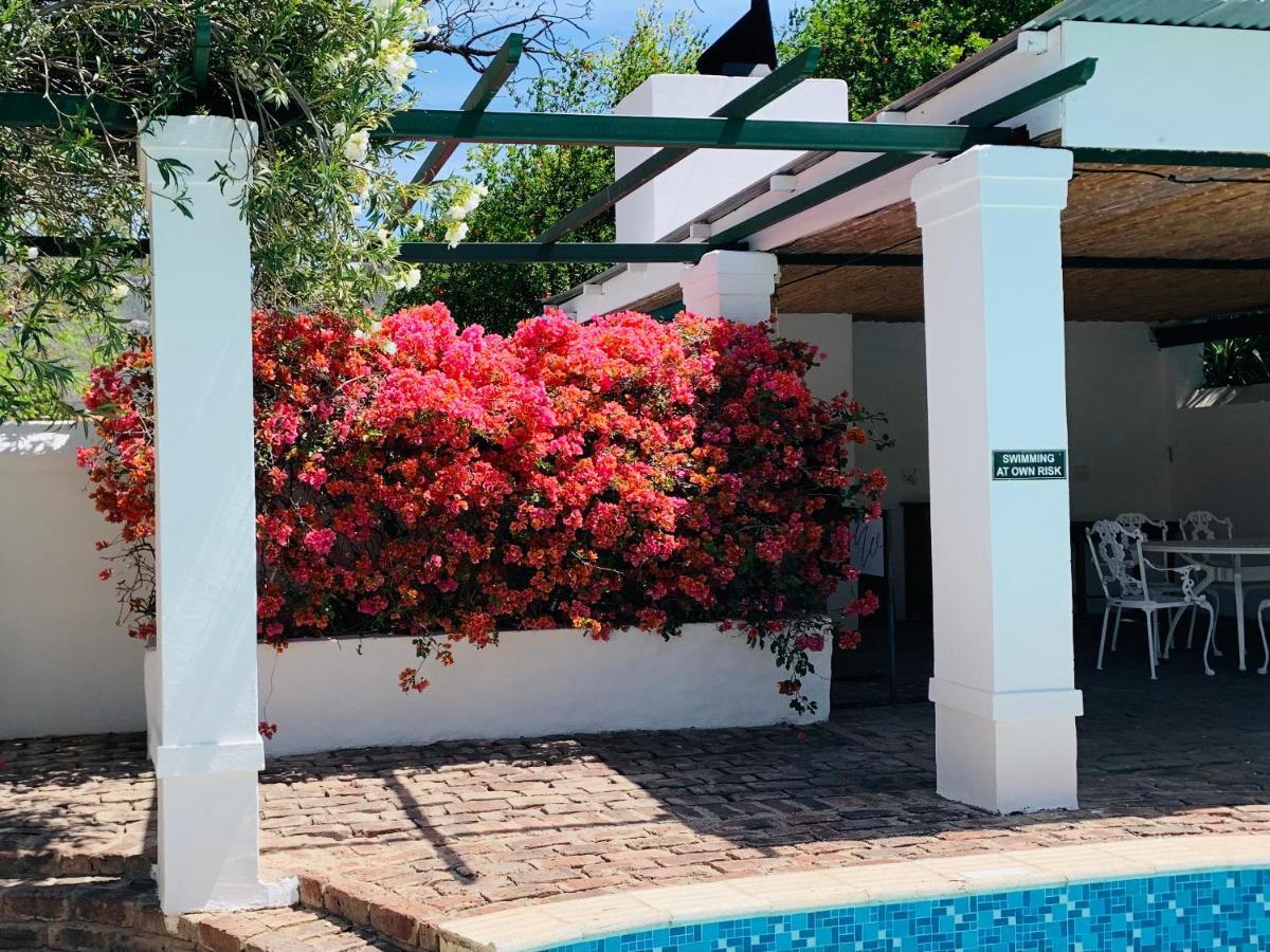 De Wingerd B & B Graaff-Reinet Esterno foto
